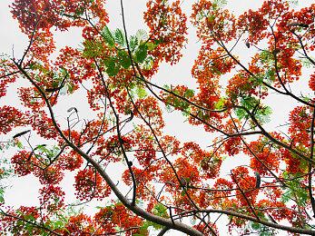 开放世界RPG《战争传说》添加中文 游戏史低促销中