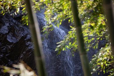 2023 CiGADC完整日程公开！联合CRI TechSummit带给开发者3天优质行业干货分享！